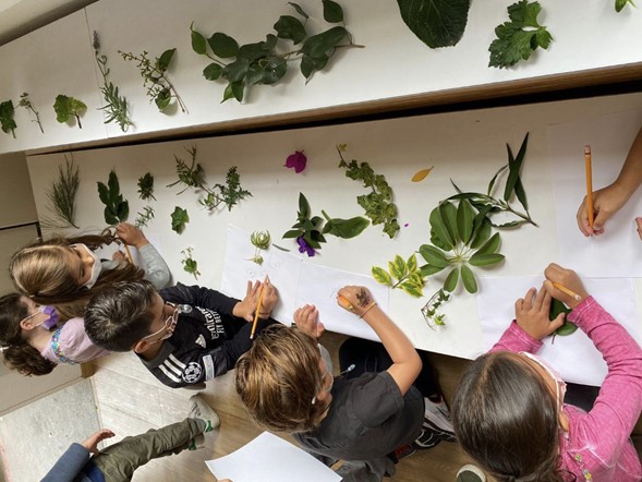 Beneficios de la naturaleza en niños | Eton School Mexico  - Children and Nature