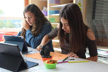 Excelencia académica | Eton School Mexico | Nord Anglia - 04 - visualTimeline WithTags